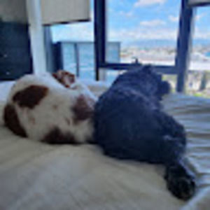 Meet your Posher, Young hee